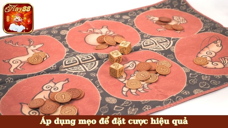 Áp dụng mẹo để đặt cược hiệu quả