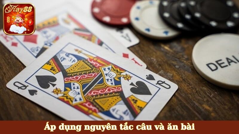 Áp dụng nguyên tắc câu và ăn bài
