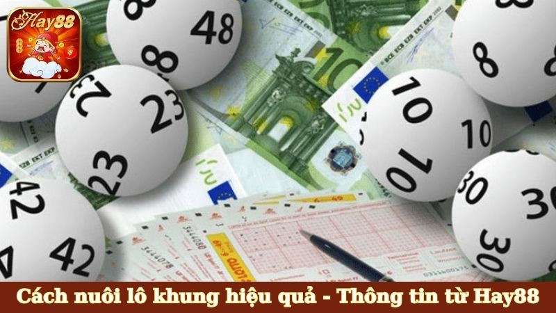 Cách nuôi lô khung hiệu quả
