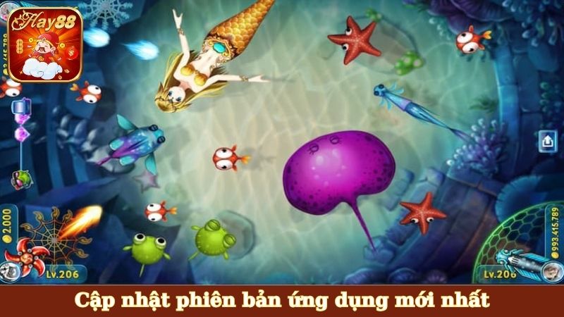 Cập nhật phiên bản ứng dụng mới nhất