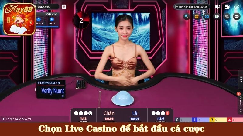 Chọn Live Casino để bắt đầu cá cược