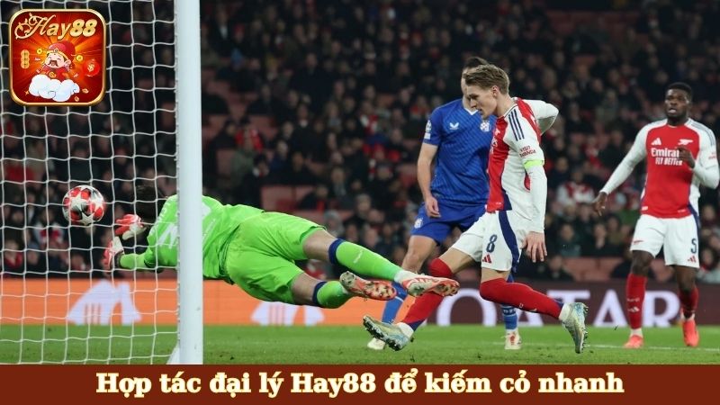 Hợp tác đại lý Hay88 để kiếm cỏ nhanh