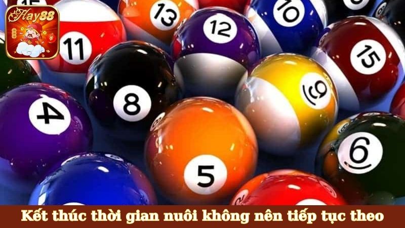 Kết thúc thời gian nuôi không nên tiếp tục theo