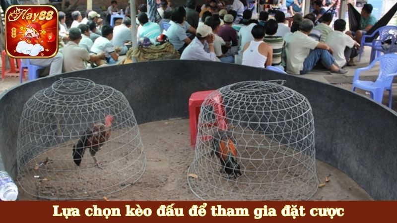 Lựa chọn kèo đấu để tham gia đặt cược