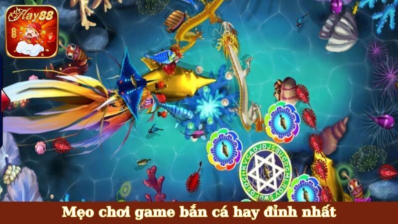 Mẹo chơi game bắn cá hay đỉnh nhất