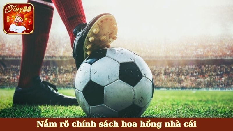 Nắm rõ chính sách hoa hồng nhà cái