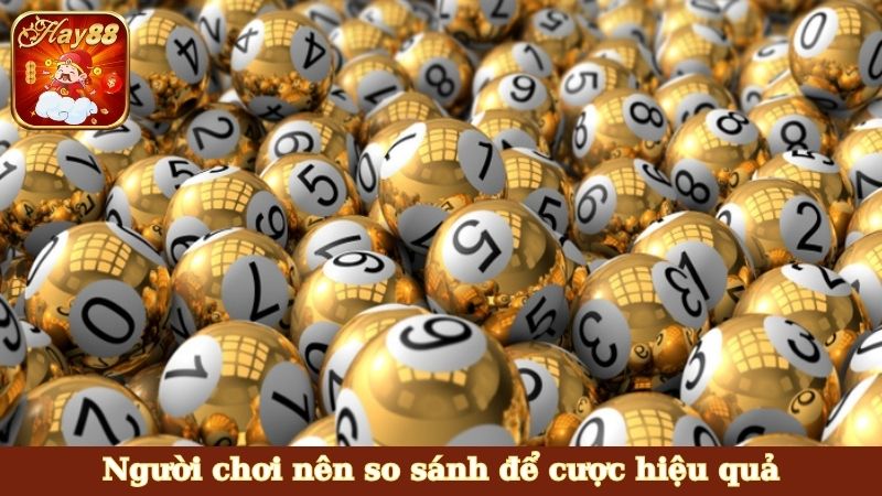 Người chơi nên so sánh để cược hiệu quả