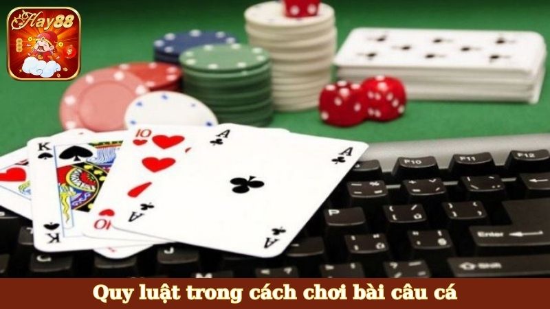 Quy luật trong cách chơi bài câu cá