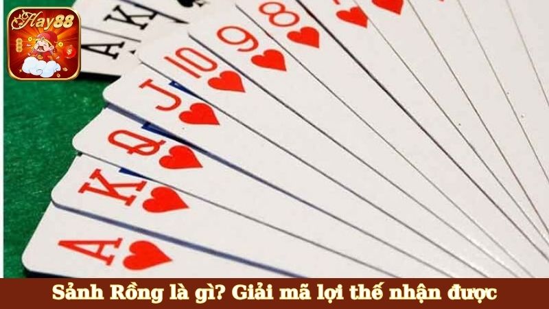 Sảnh Rồng là gì