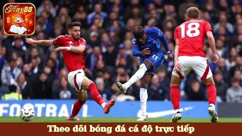 Theo dõi bóng đá cá độ trực tiếp