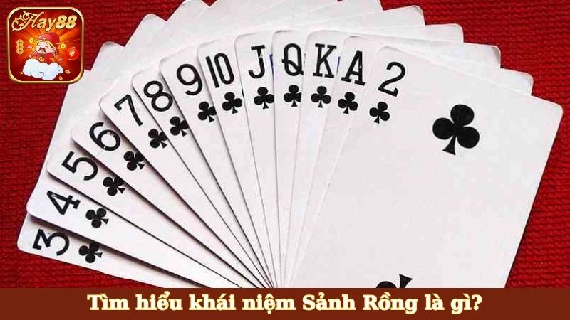 Tìm hiểu khái niệm Sảnh Rồng là gì?